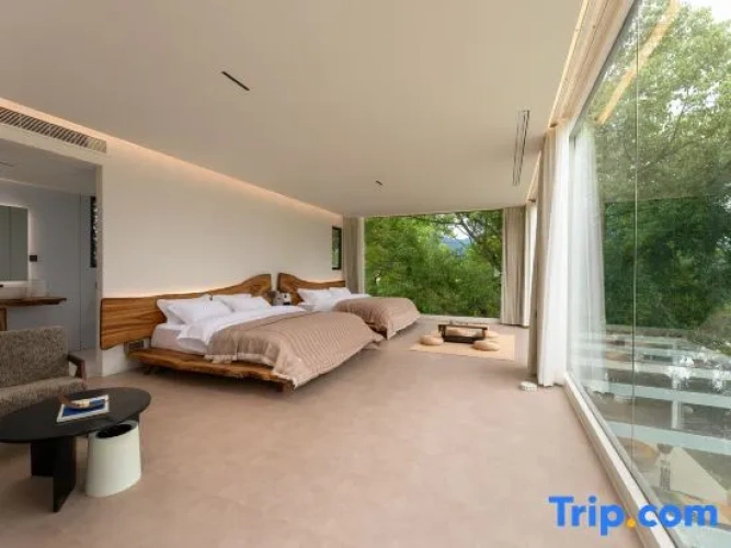 Deluxe Twin Suite with view