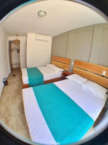 Standard Quadruple room with pool view