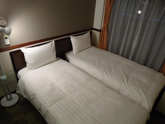Economy Twin room