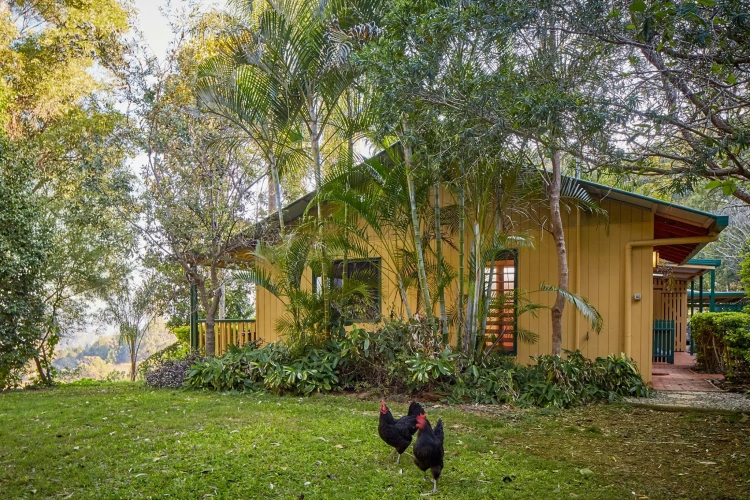 Cottage