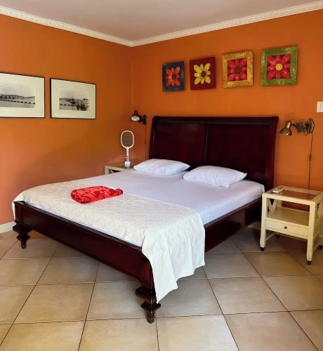 Classic Double Studio with garden view