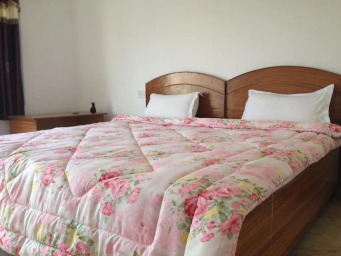 Deluxe Double room with garden view