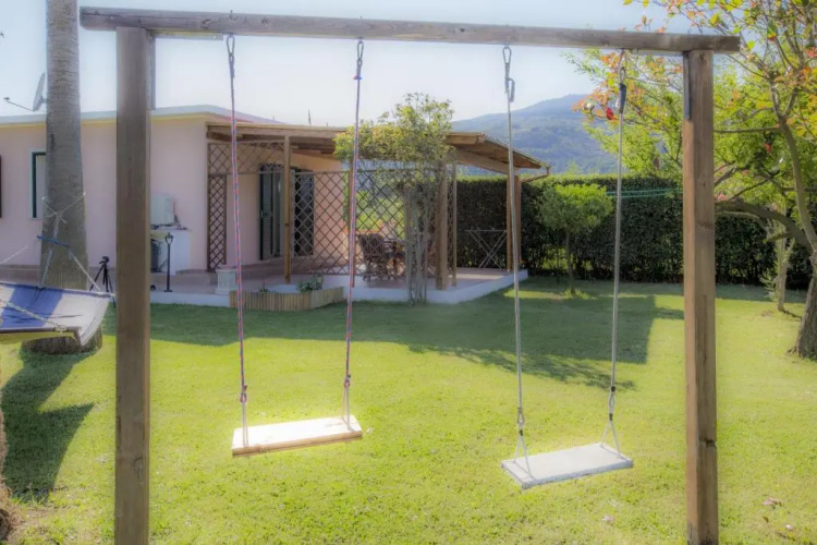 Albero Del Pepe Nr.2