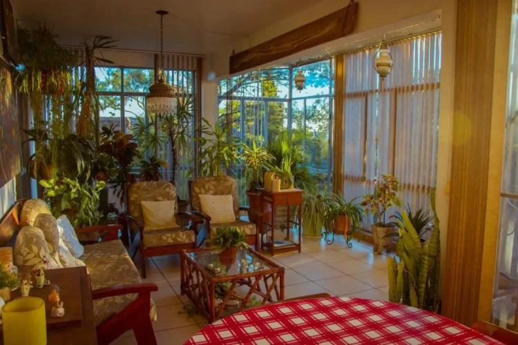 1 Bedroom Suite