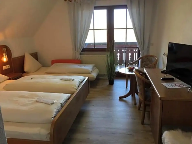 Standard Double room with balcony and with view