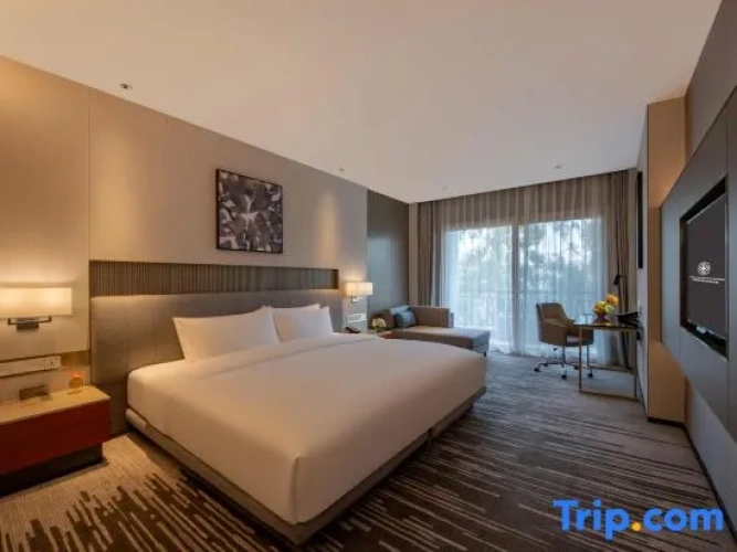 1 Bedroom Deluxe Double Club Suite with city view