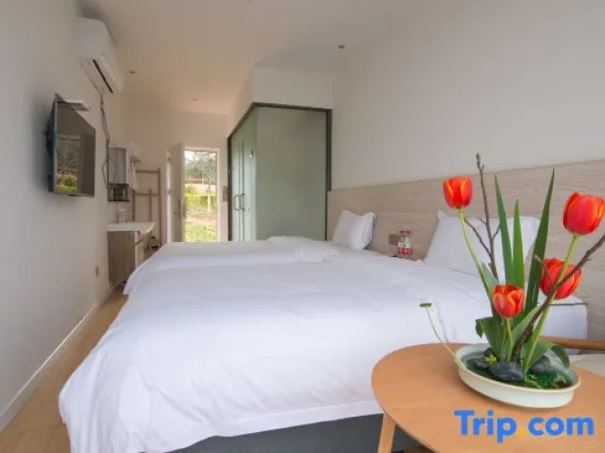Standard Twin room with mountain view