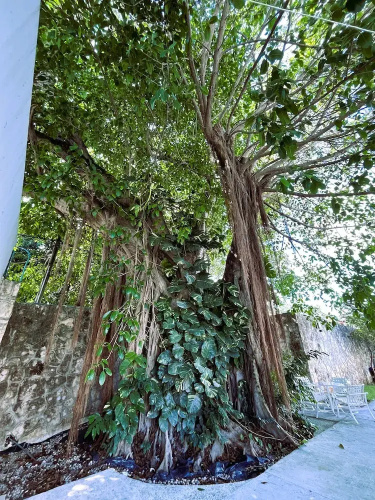 Casa Muranta