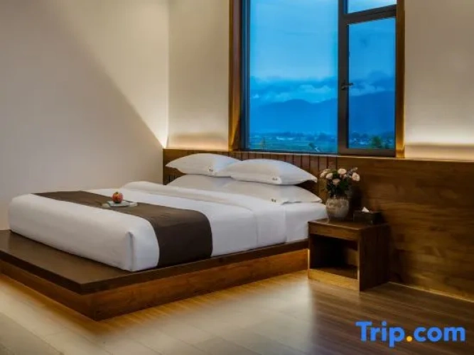 Standard Double room with view