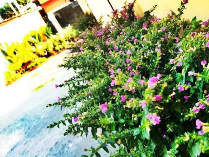 Sida Resort Bangkok