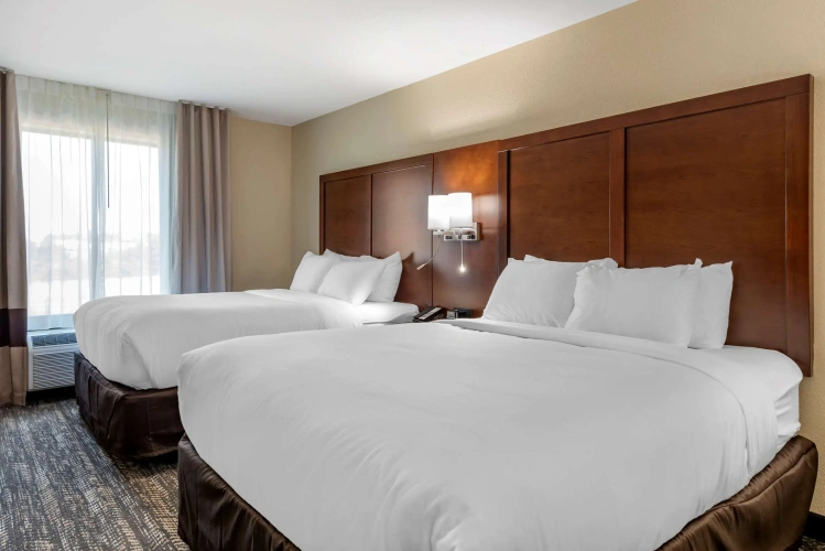 Quadruple Suite
