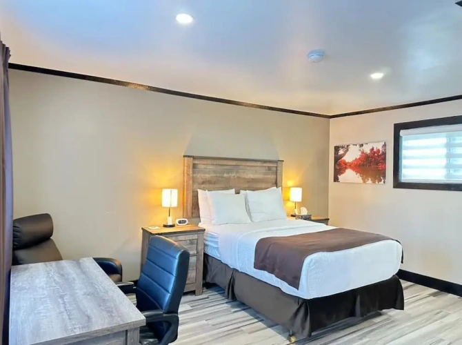 Standard Suite