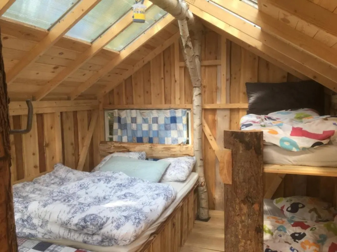 Treehouse B&B