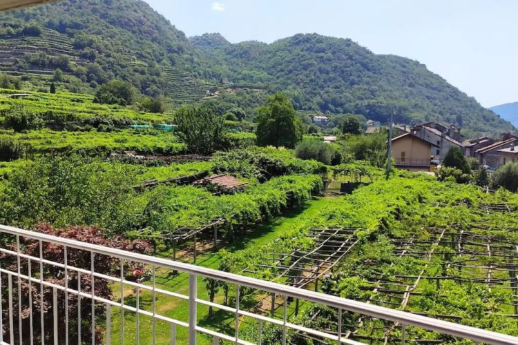 La Casa Dei Nonni 3,0