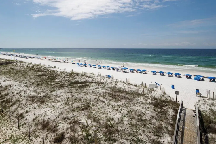 Surf Dweller 406 - The Beachcomber
