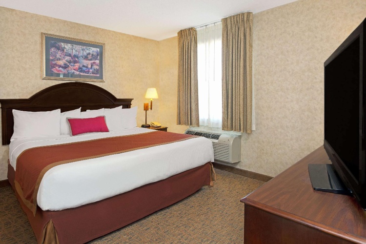 1 Bedroom Double Suite