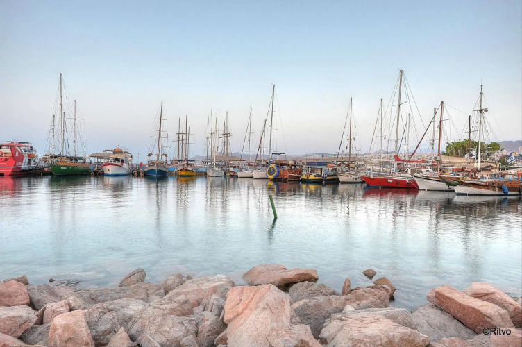 Vista Eilat Hotel photo 20