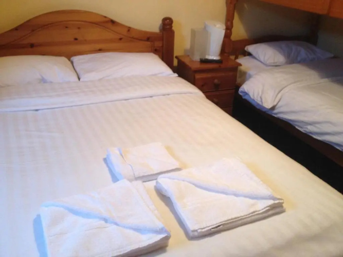 Twin Lions Hotel