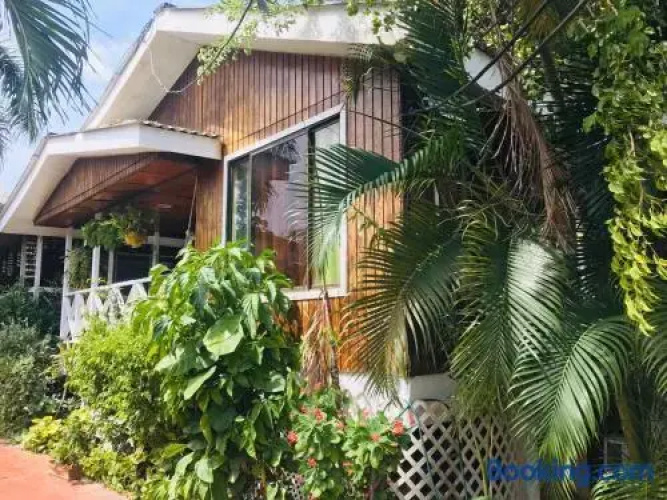Acacias Tree Hostel