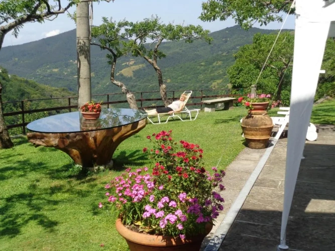 1 Bedroom Apartment with mountain view