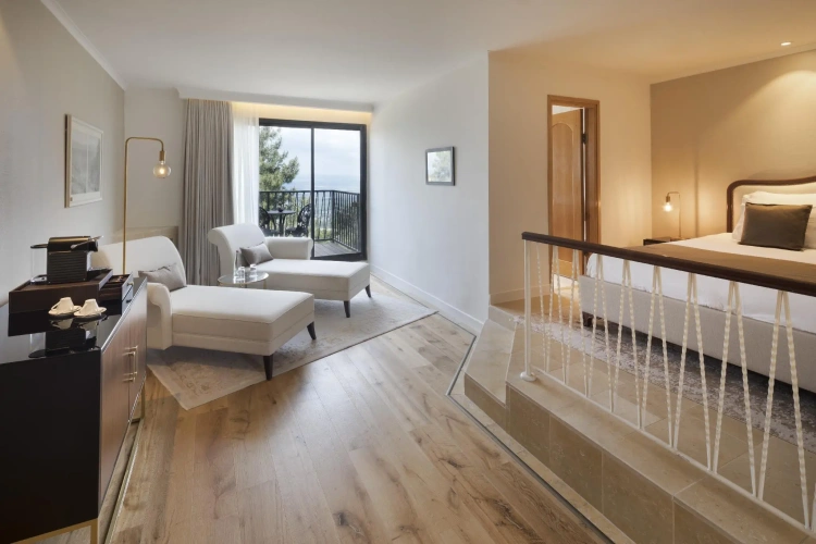 Deluxe Suite