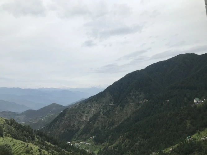 Premium Twin room with view