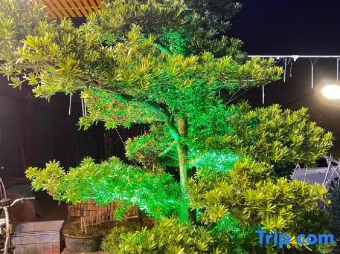 Longyandong Hot Spring Homestay