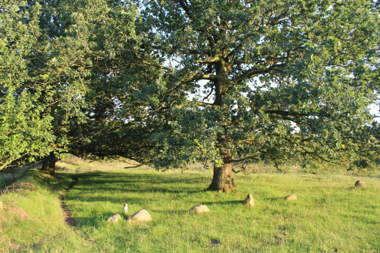't Hoeske