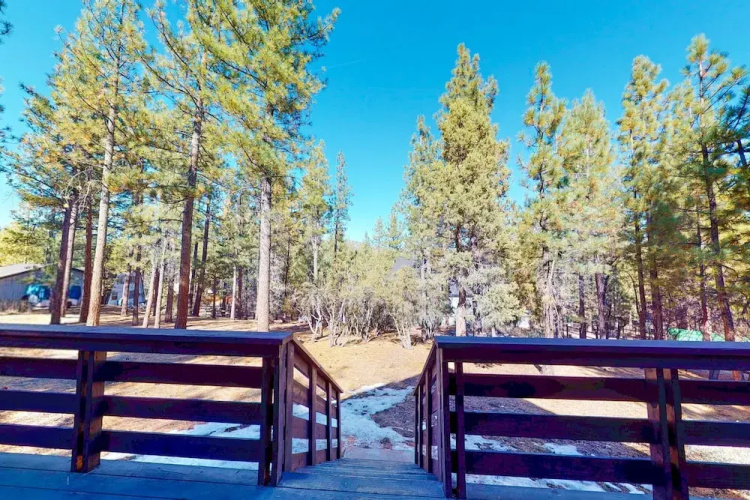Pinewood Haus #301