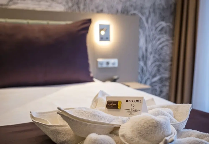 Premium Double room with balcony and with partial view