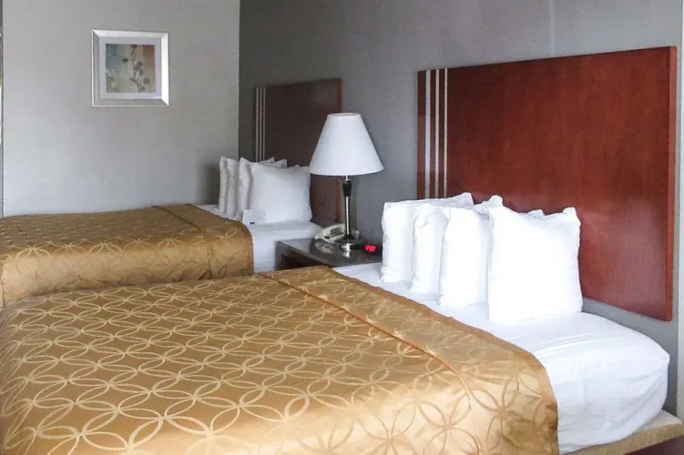 Best Western Executive Inn