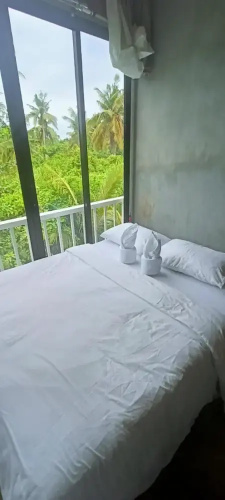Ohayo Siargao