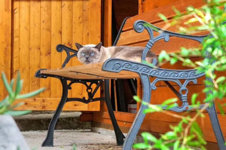 Ferienwohnung mit Terrasse
