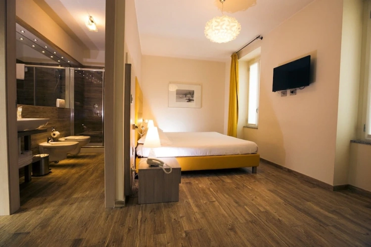 Standard Double room with city view