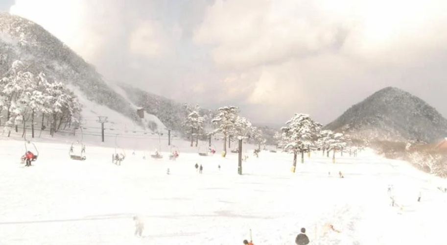 Daisen View Heights