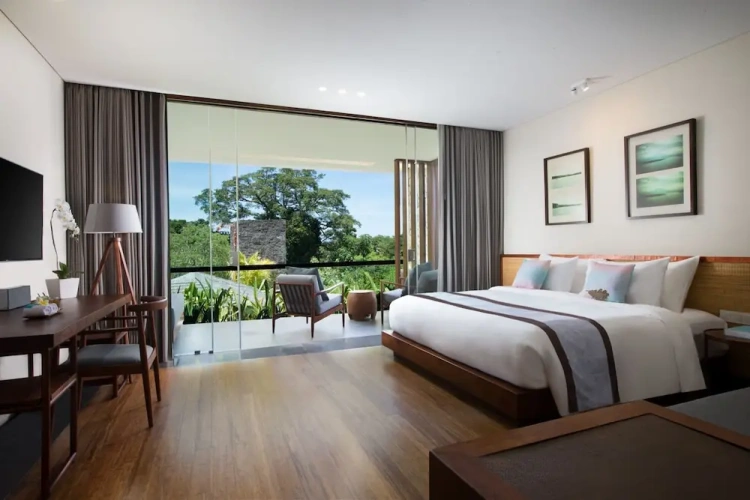 Deluxe room with mountain view