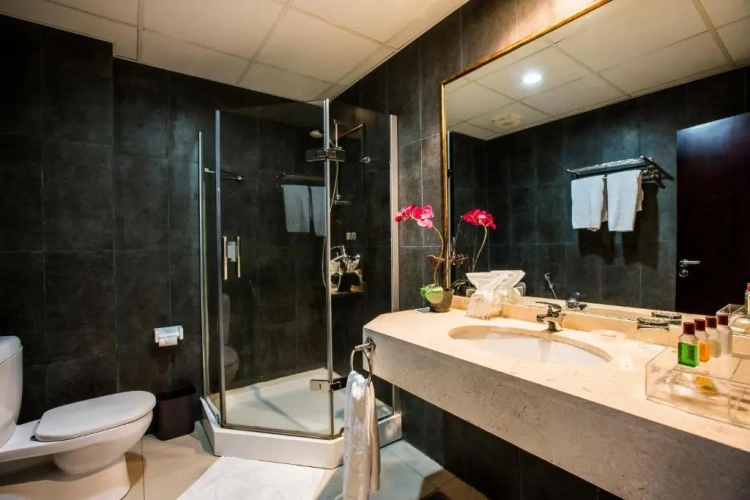 Deluxe Double room with balcony and with view