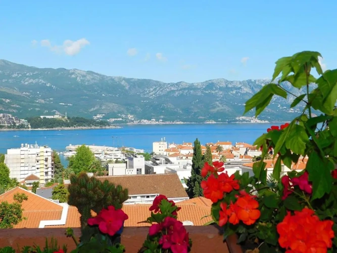 Standard Double room with balcony and with sea view