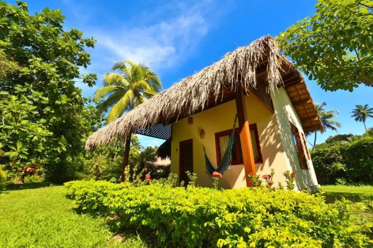 Bungalow with garden view