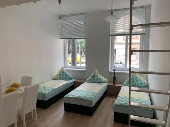 1 Bedroom Apartment