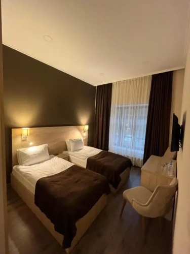 Standard Twin room with mountain view