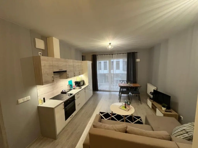 1 Bedroom Apartment