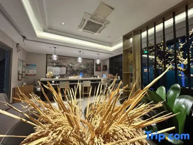 Jiaxing xinyu express hotel