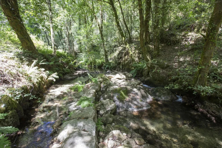Moinho da Varzea Mill House & Hot Tub