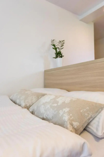 Apartment Natur