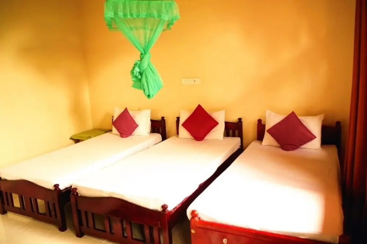 Villa Eco Green Tours