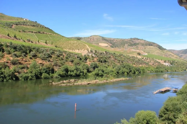 Standard Twin room with river view
