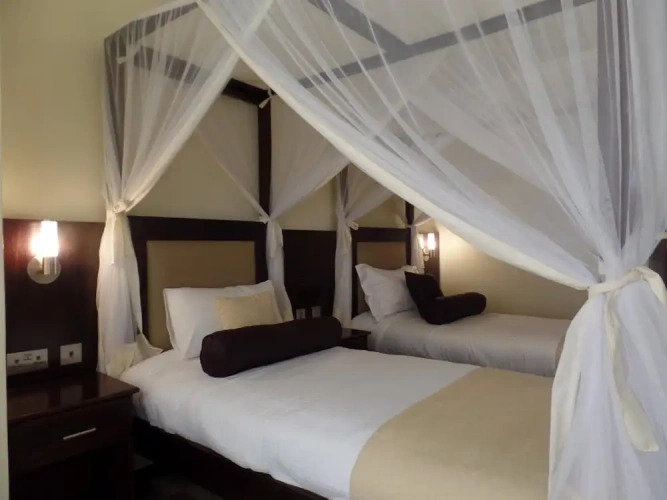 Standard Double room with balcony and with view