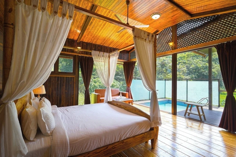 Premium Double room with garden view