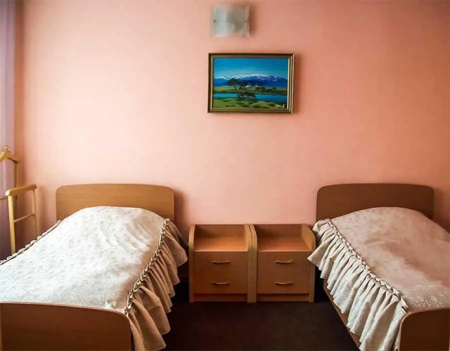 Фотография номера гостиницы Гвоздика